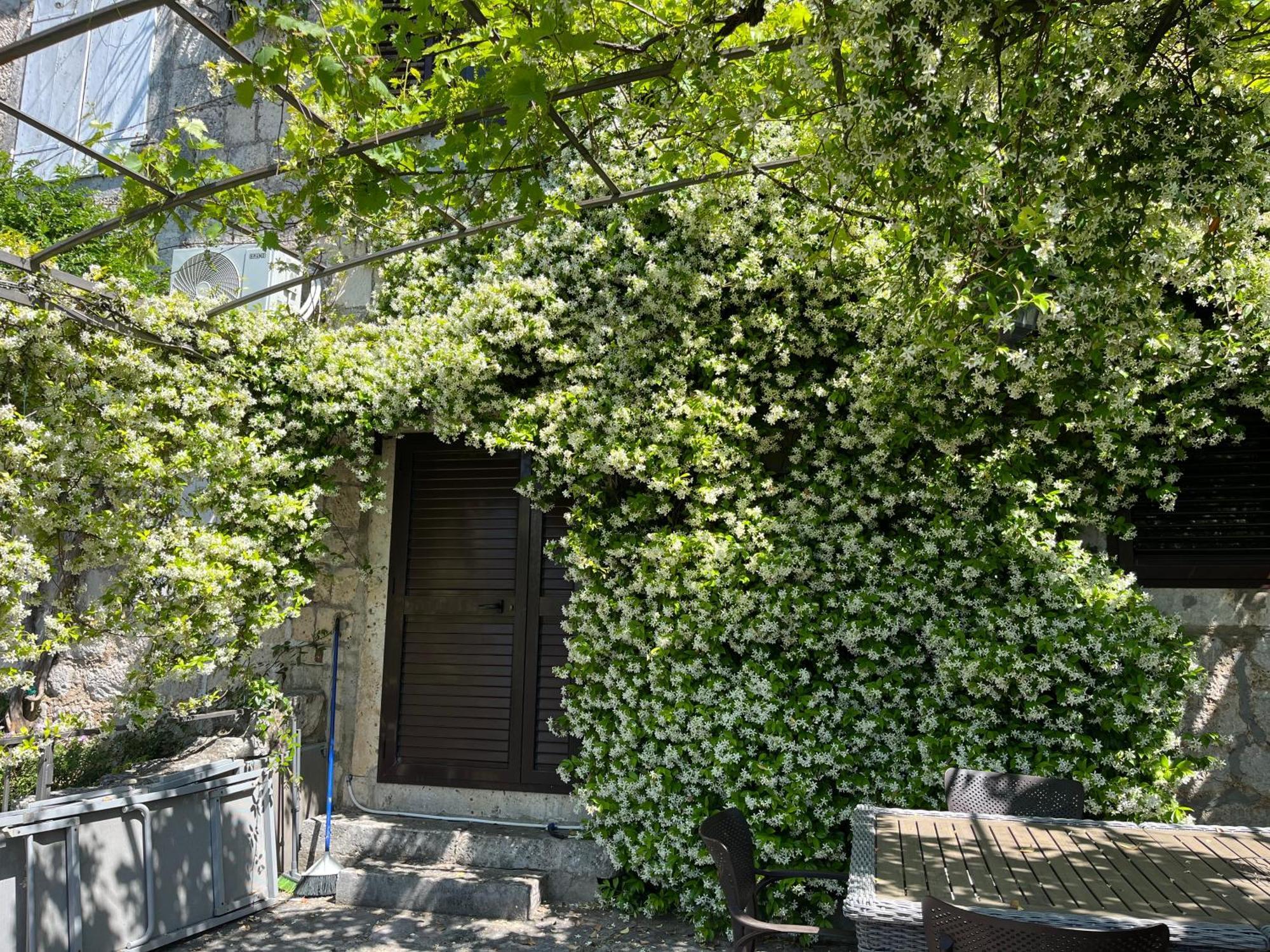 Be Happy In Perast Apartamento Exterior foto